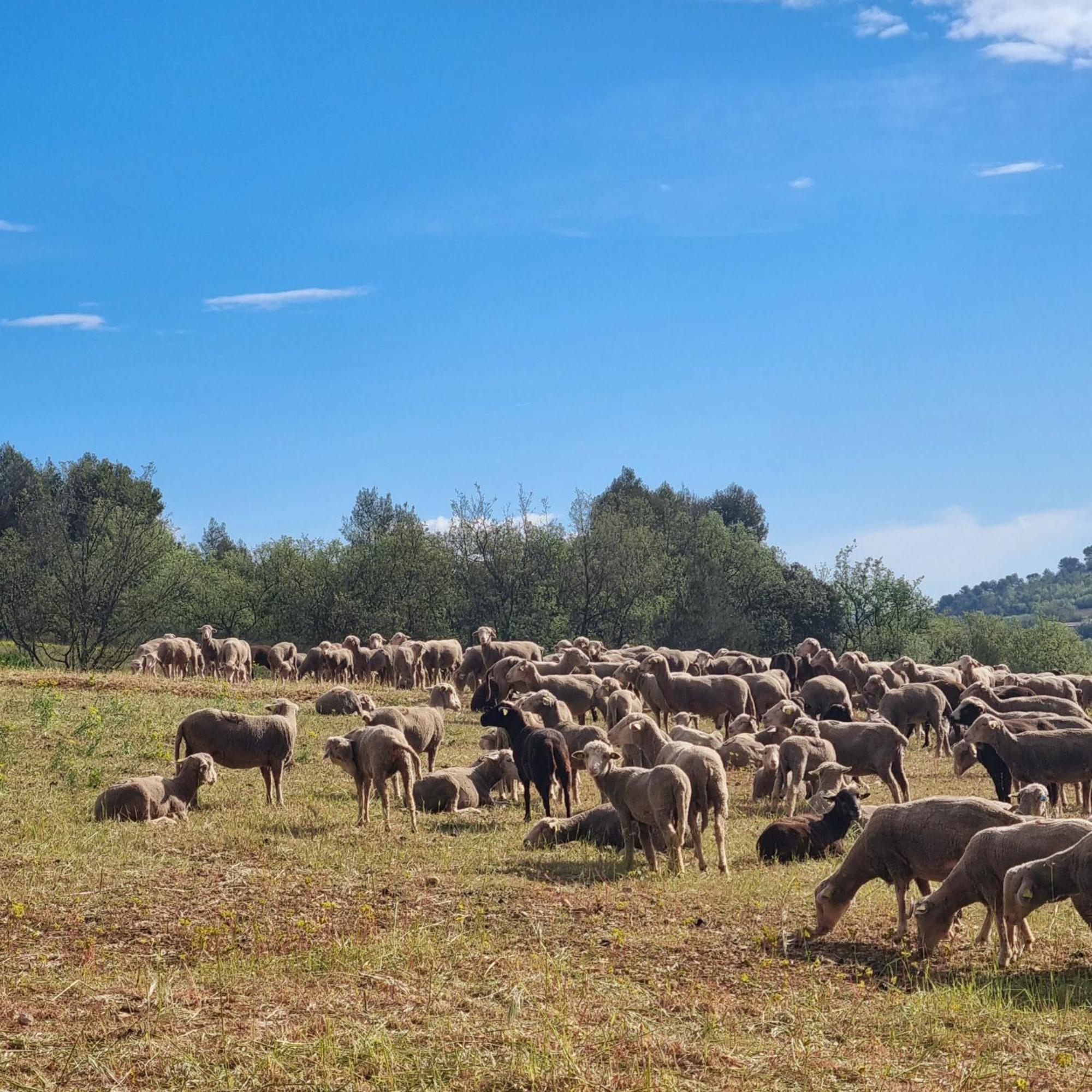 L'Oustaou Du Luberon Et Spa Villelaure Kültér fotó