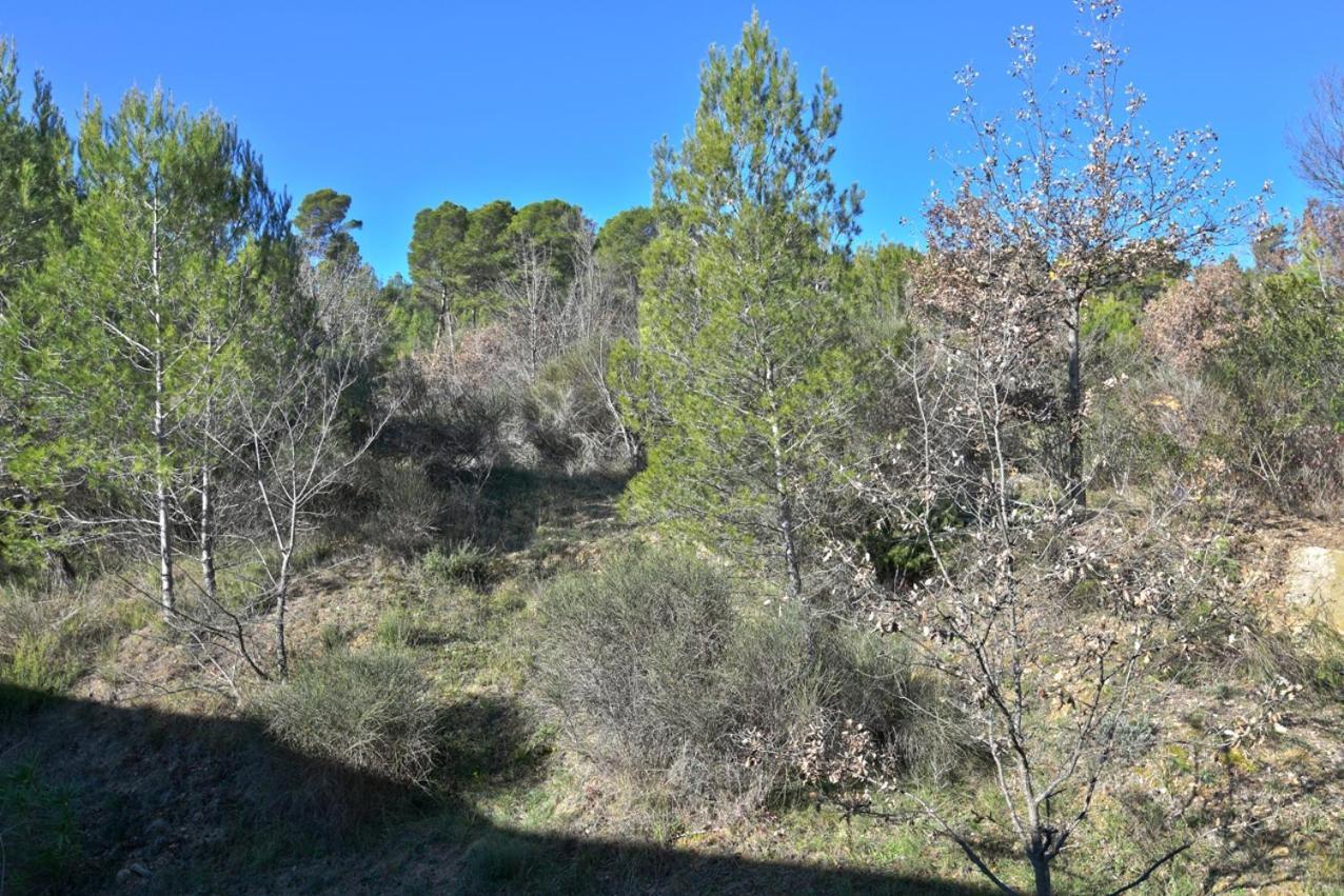L'Oustaou Du Luberon Et Spa Villelaure Kültér fotó