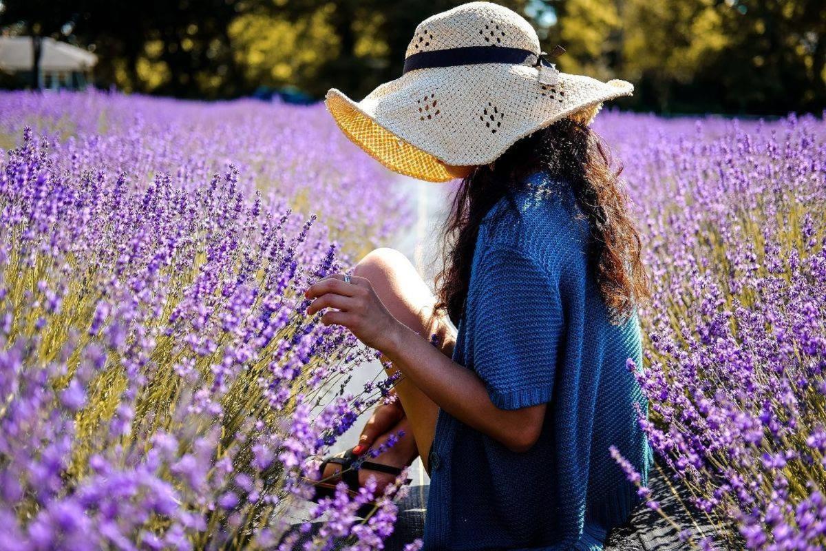 L'Oustaou Du Luberon Et Spa Villelaure Kültér fotó