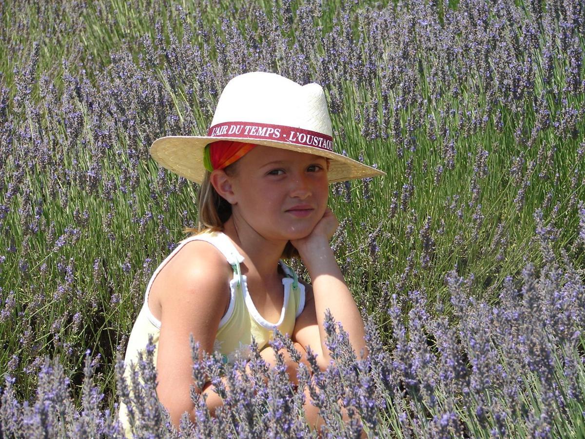 L'Oustaou Du Luberon Et Spa Villelaure Kültér fotó