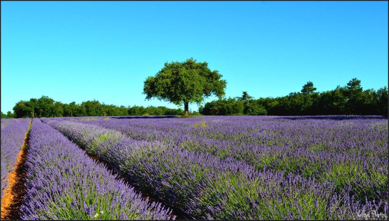 L'Oustaou Du Luberon Et Spa Villelaure Kültér fotó